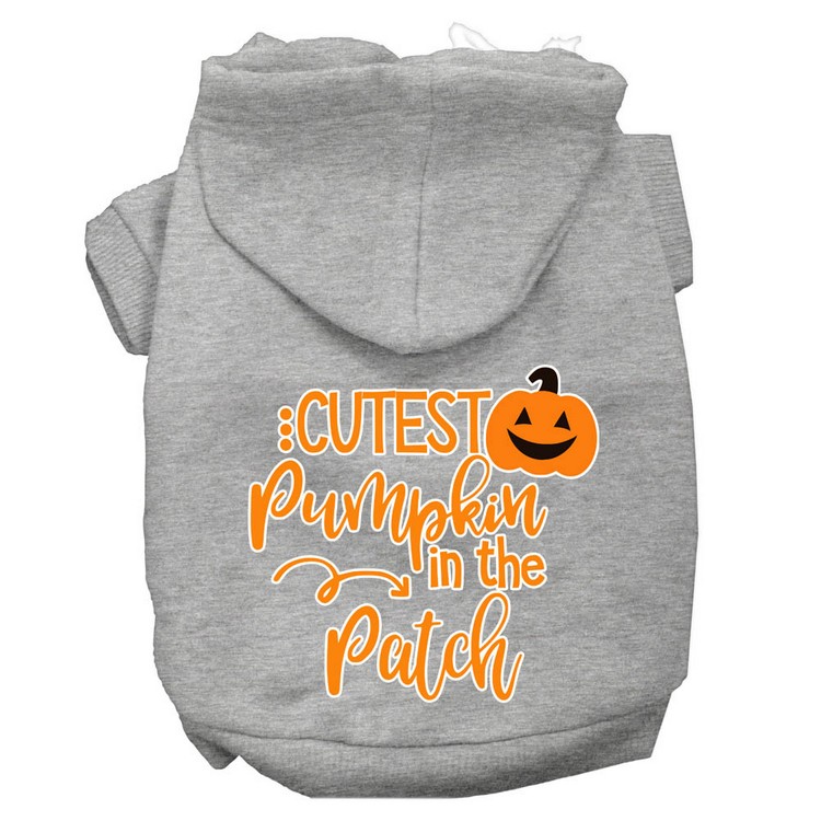 Cutest Pumpkin in the Patch Screen Print Dog Hoodie Grey XXXL